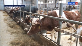 Фермер из села Смородино производит молочную продукцию и развивает агротуризм