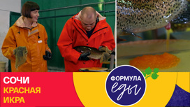 Сочи. Красная икра