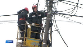 Проблему с электроснабжением одного из крупных тюменских СНТ обещали решить в ближайшее время