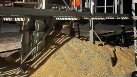 В Тамбове двоих рабочих насмерть завалило кукурузой