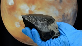 Метеорит, упавший недалеко от города Тисен в Марокко.