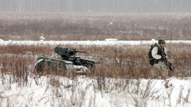 Эстонии дадут современное оружие, которое нацелят на Петербург