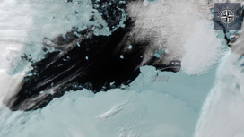 Российский спутник снял отколовшийся айсберг размером с Петербург