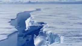 Антарктида трещит по швам