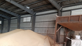 Экспорт зерна из Приамурья вырос на 30%