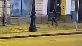 Нападение на блогера в Санкт-Петербурге попало на камеры наблюдения