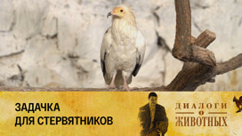 Ташкентский зоопарк Серия 1