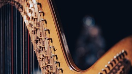 "Венецианский карнавал": в Московской консерватории прозвучит необычный дуэт арфы и органа