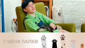 Эфир от 05.02.2023