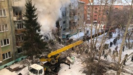Спасатели достали из-под завалов обрушившегося дома в Новосибирске кота