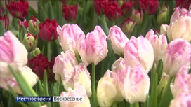Эфир от 12.02.2023