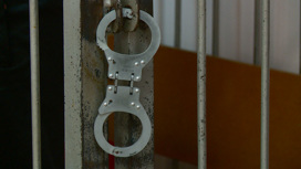 Почти 20 лет амурчанка проведет в колонии за покушение на сбыт наркотиков и хранение взрывчатки