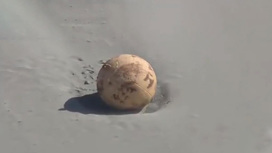 На пляже в Японии нашли неопознанный шар