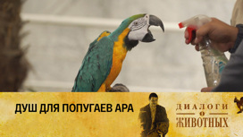 Ташкентский зоопарк Серия 4