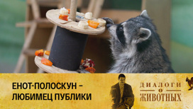 Ташкентский зоопарк Серия 5