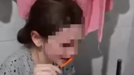 Мать заставила дочь чистить зубы водой из унитаза в наказание за мат