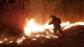 В Темрюке выгорели 32 гектара камышей