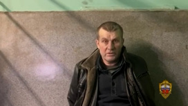 Клинику, в которой лечился москвич, толкнувший подростка под поезд метро, проверят