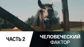Подкова доброты