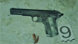 Угрожавшая пистолетом сотрудникам полиции мурманчанка отправится под суд
