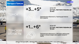 Теплая и солнечная погода ожидается в Томске в четверг