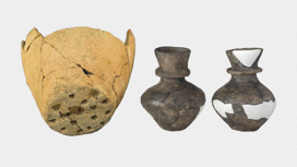 В керамических сосудах эпохи неолита учёные нашли следы большого количества творога, для создания которого использовалось молоко несколько животных.