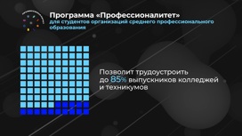 Россия в цифрах. Программа "Профессионалитет"