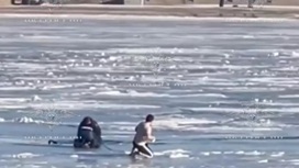 Полицейский и случайный свидетель спасли провалившегося под лед мужчину
