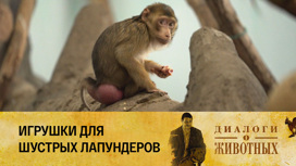Ташкентский зоопарк Серия 8