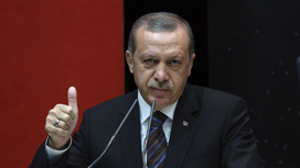 Эрдоган объявил о возобновлении работ по газовому хабу в Турции