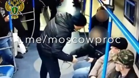 Мужчина атаковал подростка в вагоне московского метро