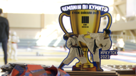 Команда Иркутской области победила на всероссийском турнире по каратэномичи