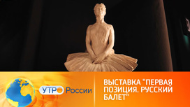 Выставка "Первая позиция. Русский балет"