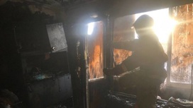 Пожарные спасли двух человек из горящего многоэтажного дома в Новосибирске