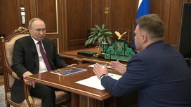 Президент провел встречу с гендиректором "РусГидро"