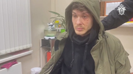 Житель Москвы признался в жестоком убийстве своей девушки