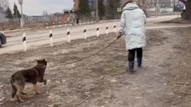 Сотрудники "Питомца" помогли собаке, которая запуталась возле ЖД путей
