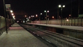 В Москве из-за падения человека на рельсы остановили поезда