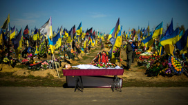 Минобороны РФ: за сутки уничтожено около 350 украинских военных