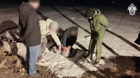 Задержанный насильник рассказал, как убил 16-летнюю девушку