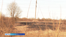 Пожароопасный сезон: как не допустить крупных палов травы в Вологодской области