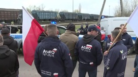 Восточная Европа требует запрета на ввоз украинского зерна