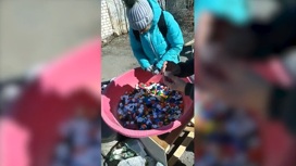Более 600 килограммов пластиковых крышек собрали тюменские экоактивисты