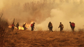 Шесть природных пожаров ликвидировали в Приамурье
