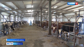 Сельскохозяйственный хай-тек: местные производители молока получают господдержку в Хабаровском крае