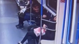 Приезжий ловко вытащил телефон из рук пассажирки метро