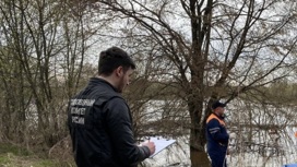 В Вологде мать и ребенок погибли во время речной прогулки