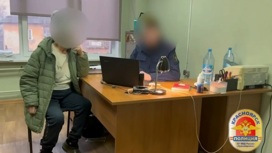 В Красноярске задержали женщину, заказавшую убийство детей