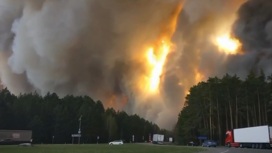 Погода осложняет тушение пожаров в Тюменской и Курганской областях