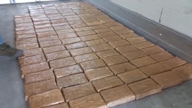 Почти полтонны кокаина нашли в двух фурах в Смоленской области